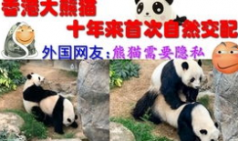 动物交配视频大全,交配瞬间大揭秘