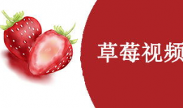 草莓视频在线,带你探索短视频世界的无限魅力